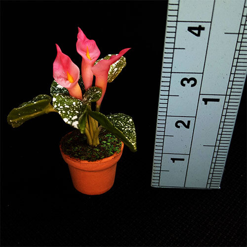 Potted Lily - Pink