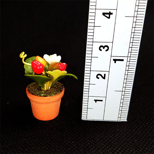 Potted Plant - Strawberry