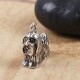 Shih Tzu - Standing