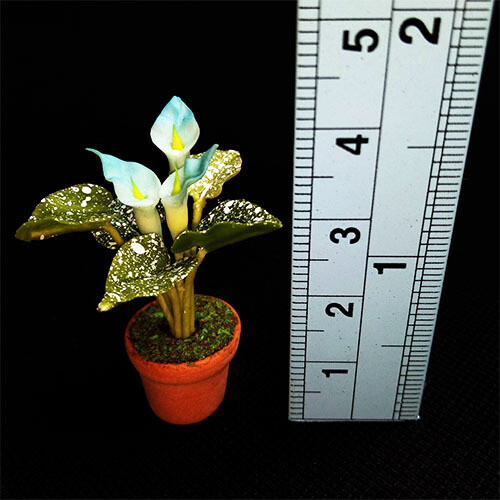Potted Lily - Pale Blue