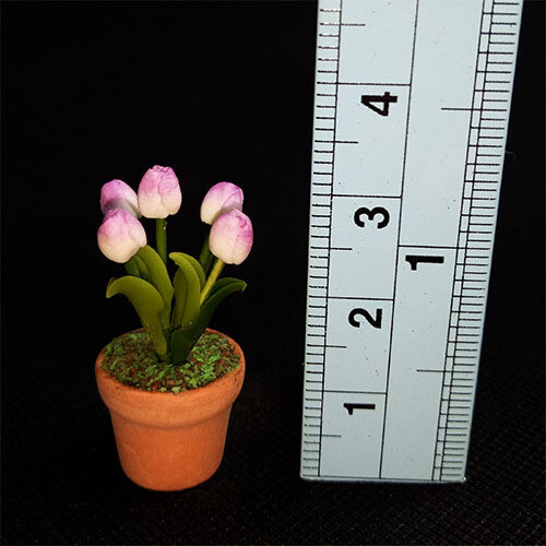 Potted Tulip - Mauve/White