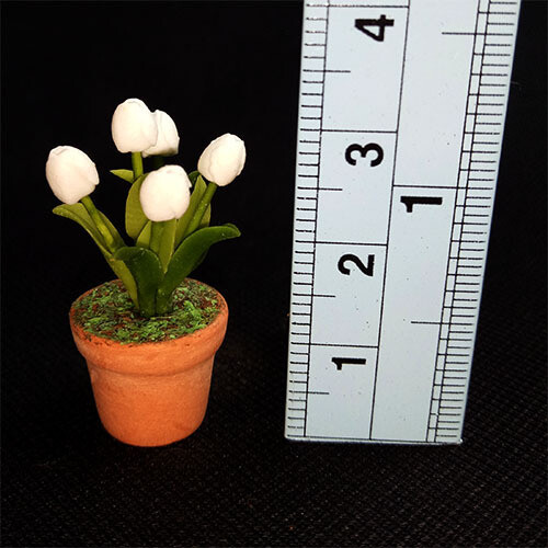 Potted Tulip - White