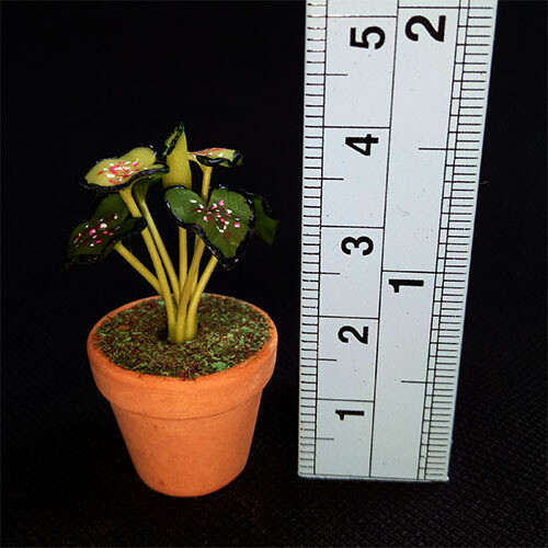 Potted Plant - Green Spotted Leaves