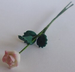 Single Rose - White/Pink