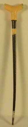 Walking Stick