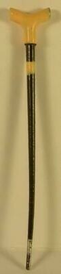 Walking Stick