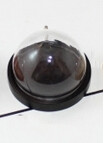 Glass Dome with Wooden Base