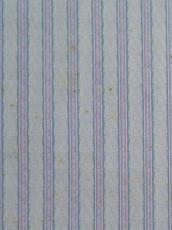 Blue Stripe