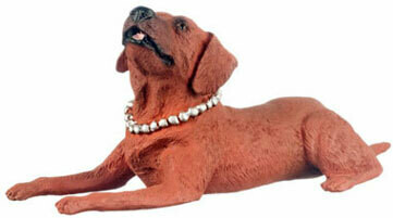 Dog Laying Down