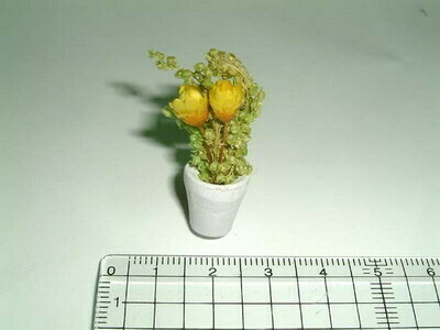 Flowers in pot