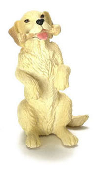 Labrador with Bone
