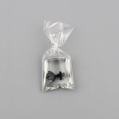 Fish in Plastic Bag