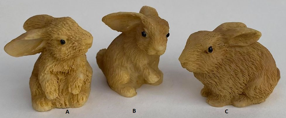 Rabbit, Which Rabbit?: Rabbit A - Two Paws Up