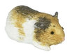 Other Animals