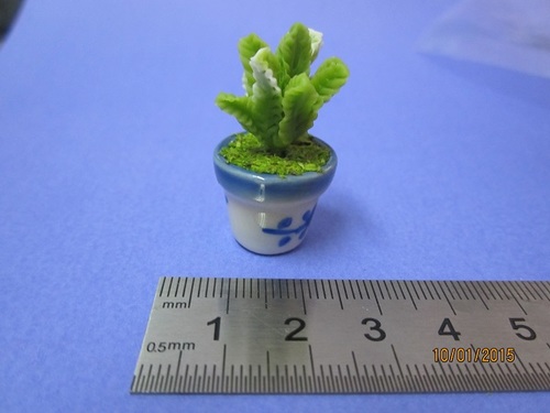 Cactus (2) - with or without pot, Type: Porcelain Pot