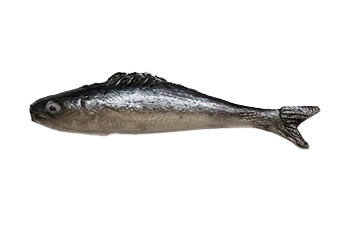 Fish - style 3