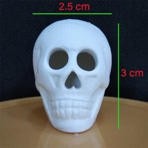 Skull - Unglazed