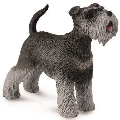 Schnauzer