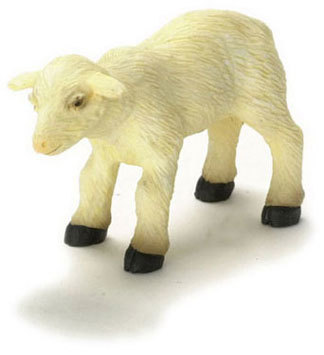 Lamb