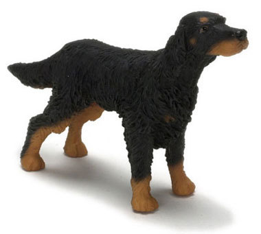 Gordon Setter