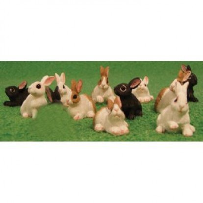 Rabbit