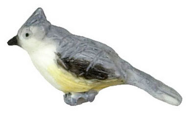 Tufted Titmouse