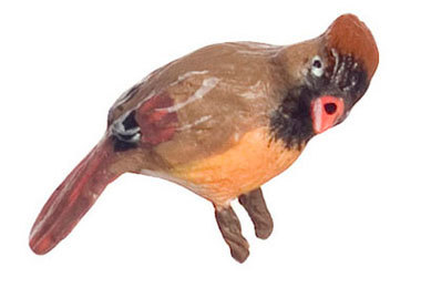 Wild Bird, Brown &amp; Orange