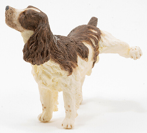 Springer Spaniel, Naughty