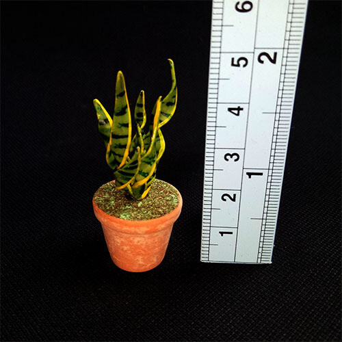 Potted Plant - Long Striped Leaves