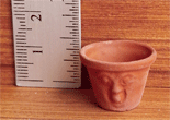 Flowerpot with Face, Face: Surprised