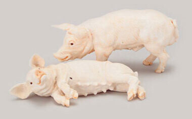 Pig, Pig: Laying