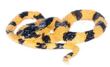 Snake, - Banded Krait