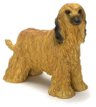 Afghan Hound