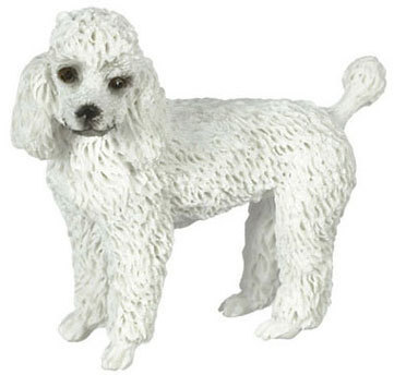 Poodle - White