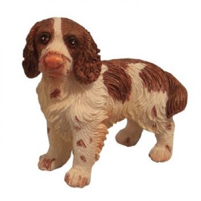 Springer Spaniel - Standing