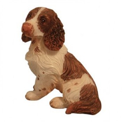 Springer Spaniel - Sitting