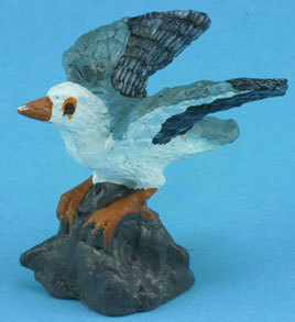 Sea gull