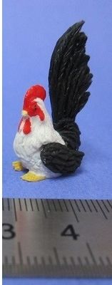 Rooster - Various