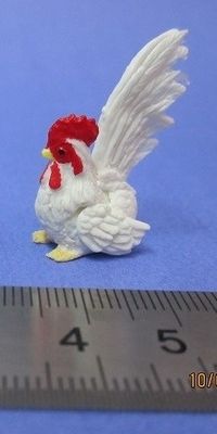 Rooster - Various
