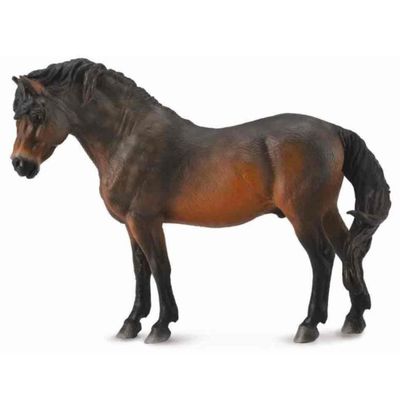 Horse - Dartmoor Pony