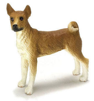 Basenji