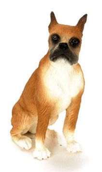 Boxer - Sitting