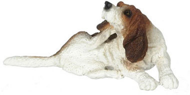 Beagle - Scratching