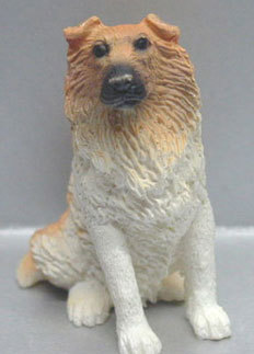 Collie, Sitting