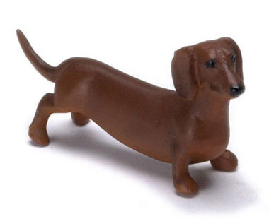 Dachshund - Red Brown