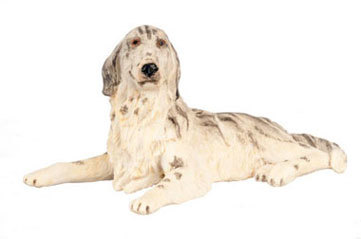 Irish Setter - Black &amp; White