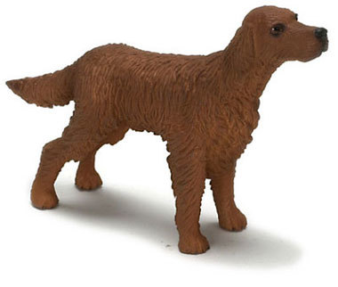 Irish Setter