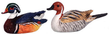 Decoy Duck