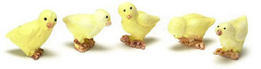 Chicks