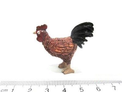 Rooster,  Brown